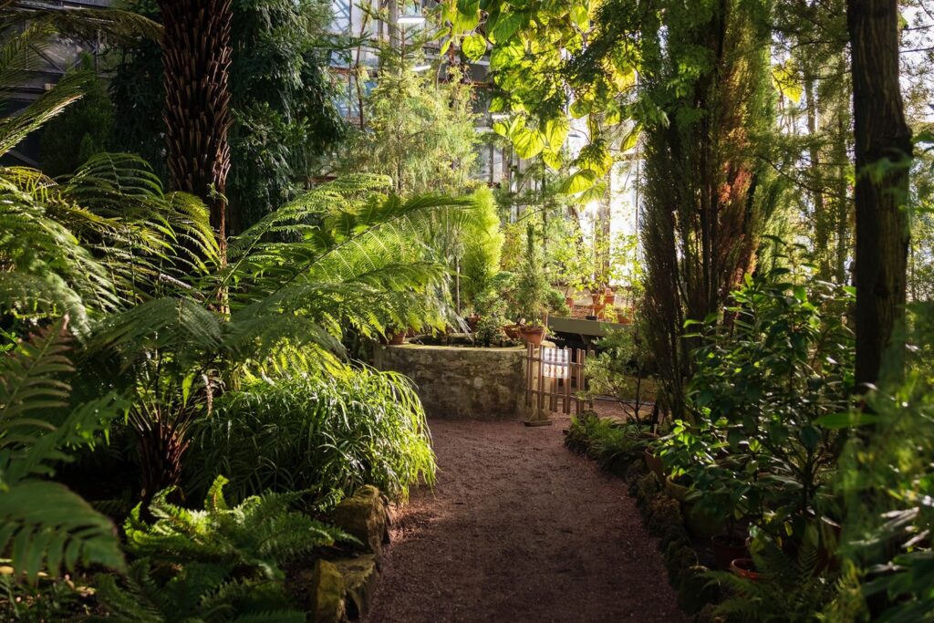 0u241rm957bm26r6b8zkhfhxvbkqtznx-1024x683 Традиции празднования Дня всех влюбленных в Санкт-Петербурге