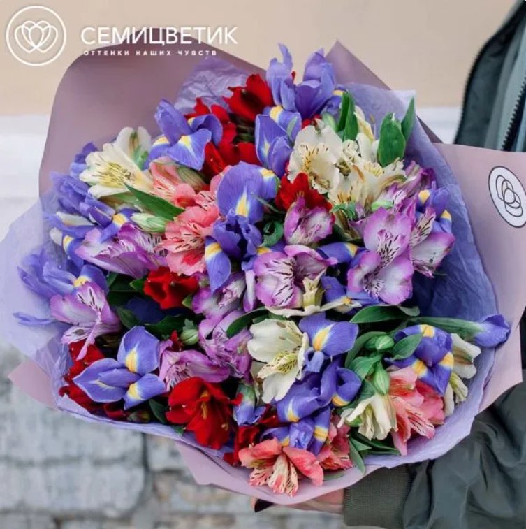 photo_5242378786366493947_x Традиции празднования 23 февраля в Санкт-Петербурге