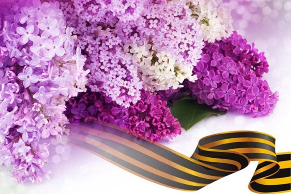 772bc4be-6d56-503d-abdc-9adfd7240ca5-1024x683 Цветы на День Победы