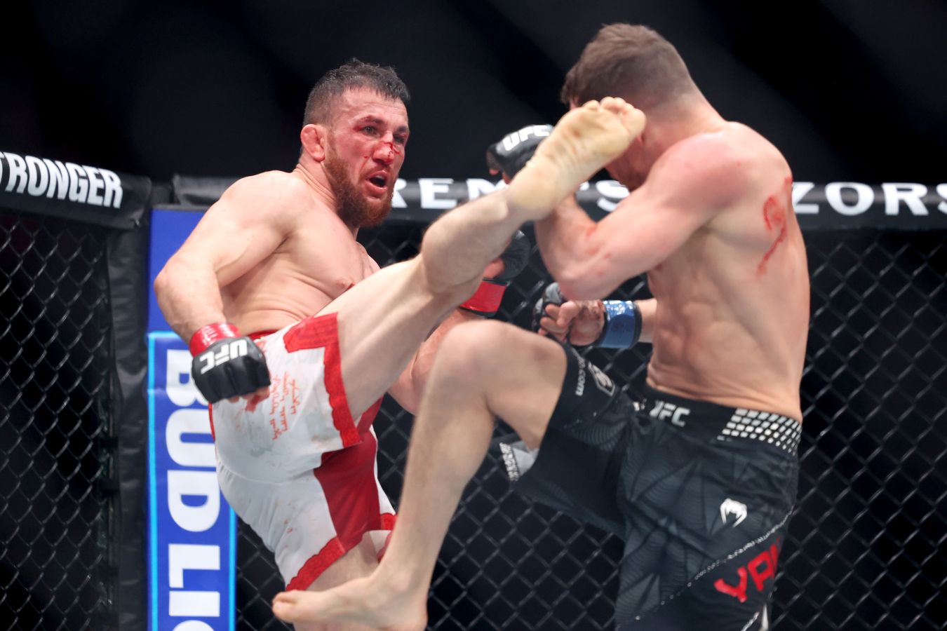 Пётр Ян вышел на бой UFC с сыновьями и флагом России
